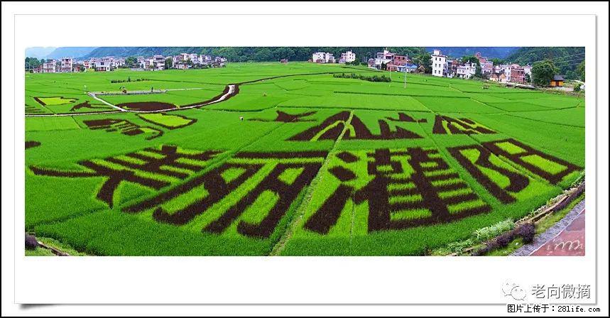 【春天,广西桂林灌阳县向您发出邀请!】开篇 - 游山玩水 - 清远生活社区 - 清远28生活网 qingyuan.28life.com