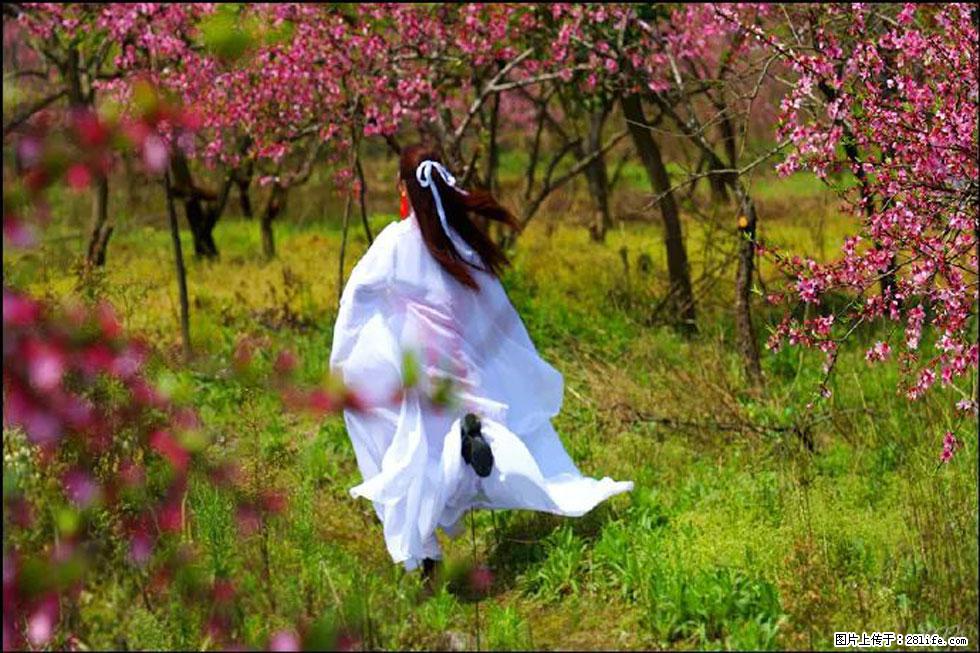 【春天,广西桂林灌阳县向您发出邀请!】官庄村有个醉美的桃花园 - 游山玩水 - 清远生活社区 - 清远28生活网 qingyuan.28life.com