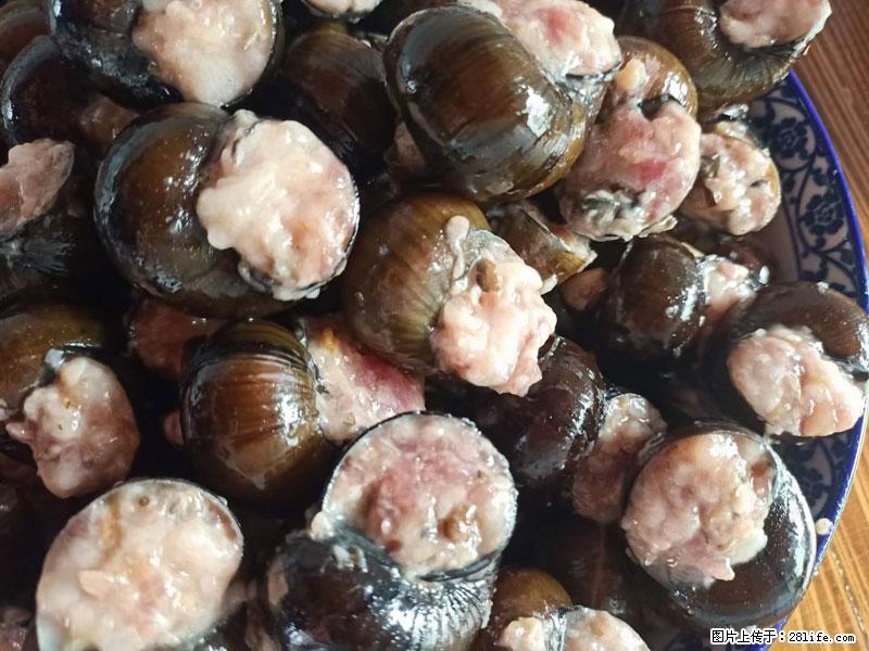 (舌尖上的乡村)灌阳:让人口齿留香的田螺酿 - 2023年07月31日 桂林日报第6版刊发 - 美食天地 - 清远生活社区 - 清远28生活网 qingyuan.28life.com
