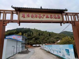 【灌阳县油茶产业示范区】一个有着充实的精神生活的人，对待身外之物自会有一种淡泊的态度 - 清远28生活网 qingyuan.28life.com