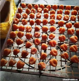 广西桂林平乐桥亭【柿饼之乡】2025年纯手工制作、无任何添加剂的第一批柿饼准备上市了，欢迎联系订购！ - 清远28生活网 qingyuan.28life.com