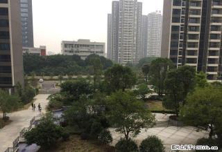 全新家私电器，恒福天曦 1000元 精装修 - 清远28生活网 qingyuan.28life.com