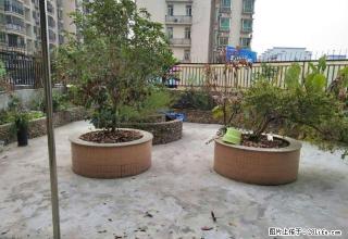 城西湖景花园精装修大4房仅租2800元还有70方私人花园 - 清远28生活网 qingyuan.28life.com