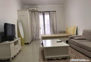 急租义乌商贸城旁金世纪豪园单身公寓拎包入住 - 清远28生活网 qingyuan.28life.com