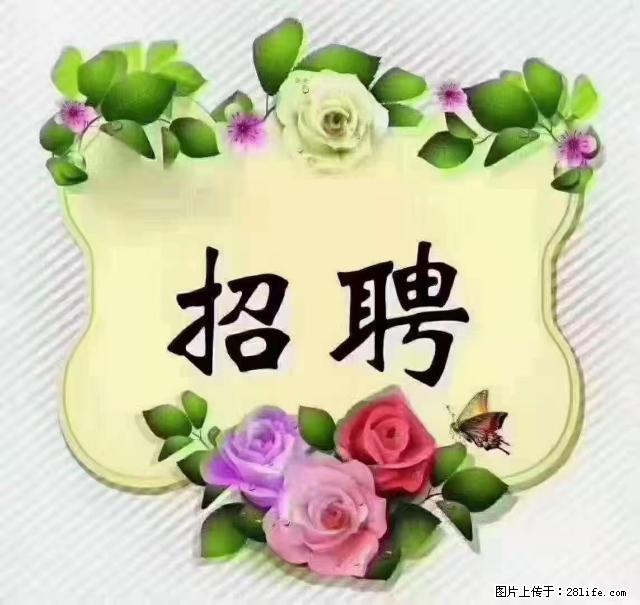 【招聘】住家育儿嫂,上户日期:4月4日,工作地址:上海 黄浦区 - 职场交流 - 清远生活社区 - 清远28生活网 qingyuan.28life.com