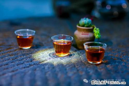 时间果百年古树2025年春红茶 - 购物交流 - 清远生活社区 - 清远28生活网 qingyuan.28life.com