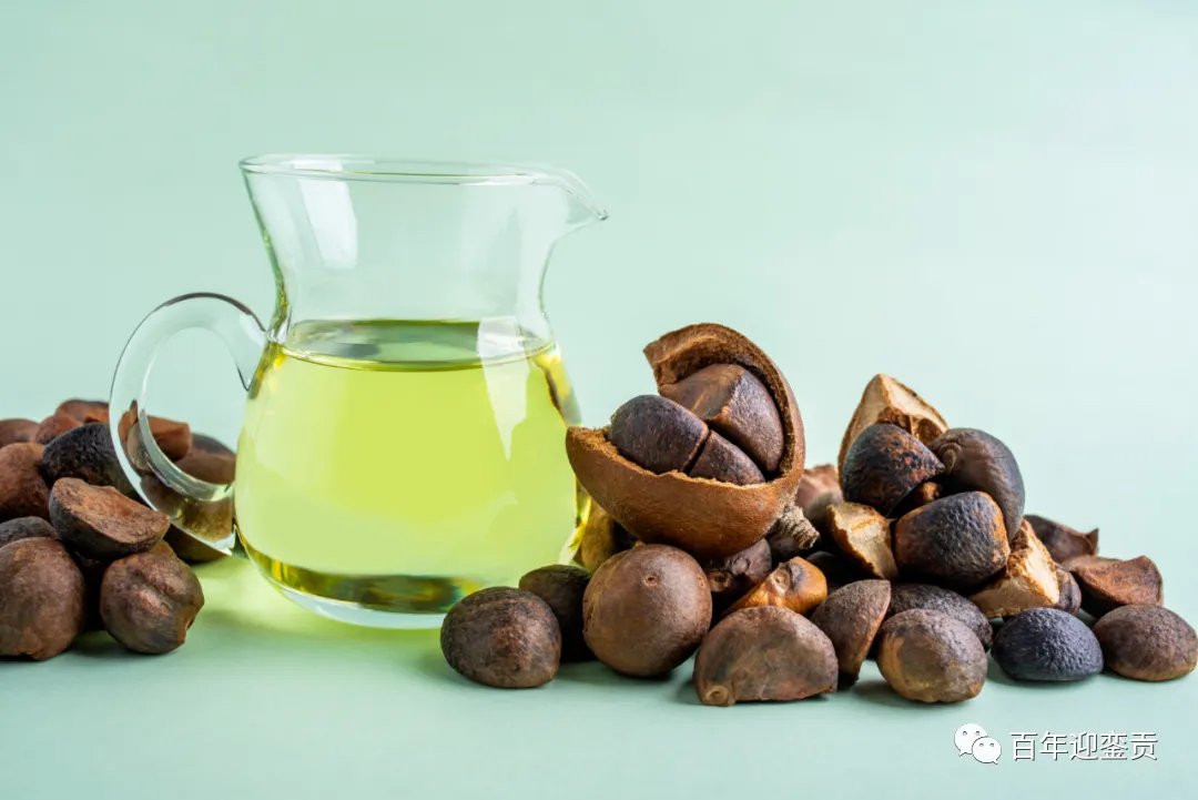 世界没有真相,只有认知,最好的食用油是中国的山茶油! - 清远生活资讯 - 清远28生活网 qingyuan.28life.com