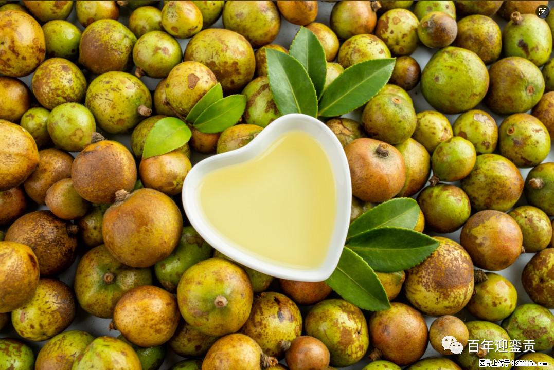 世界没有真相,只有认知,最好的食用油是中国的山茶油! - 清远生活资讯 - 清远28生活网 qingyuan.28life.com