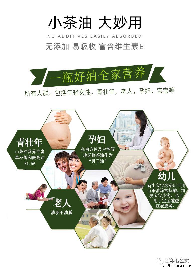 世界没有真相,只有认知,最好的食用油是中国的山茶油! - 清远生活资讯 - 清远28生活网 qingyuan.28life.com