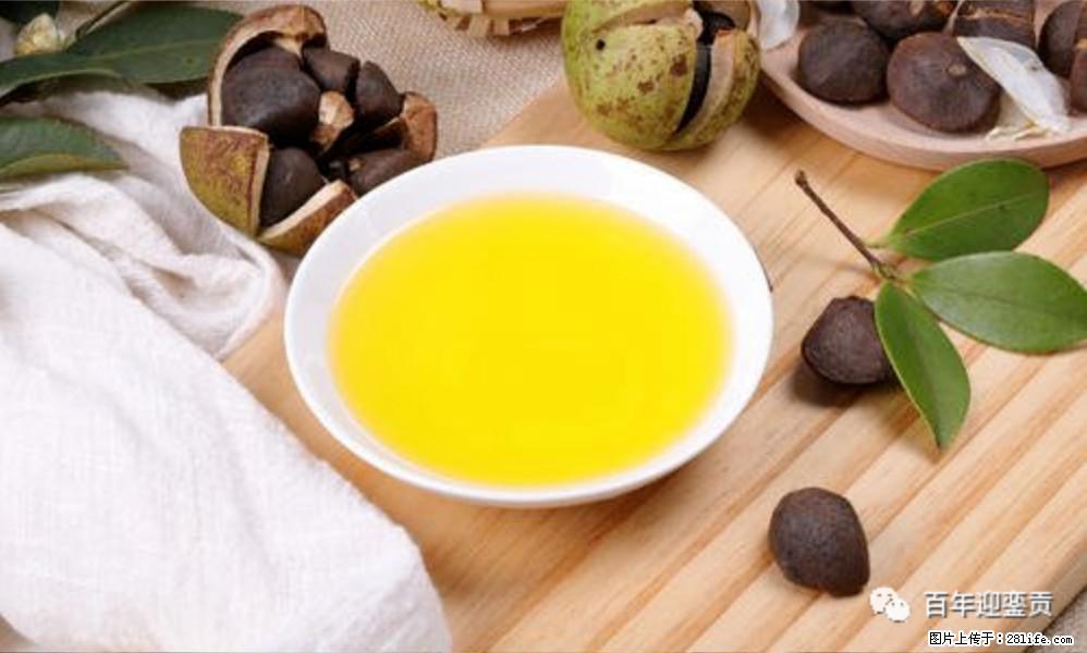 世界没有真相,只有认知,最好的食用油是中国的山茶油! - 清远生活资讯 - 清远28生活网 qingyuan.28life.com