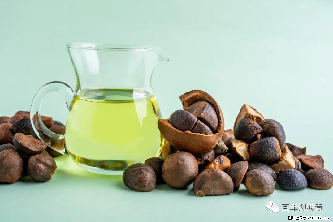 世界没有真相，只有认知，最好的食用油是中国的山茶油！ - 清远生活资讯 - 清远28生活网 qingyuan.28life.com