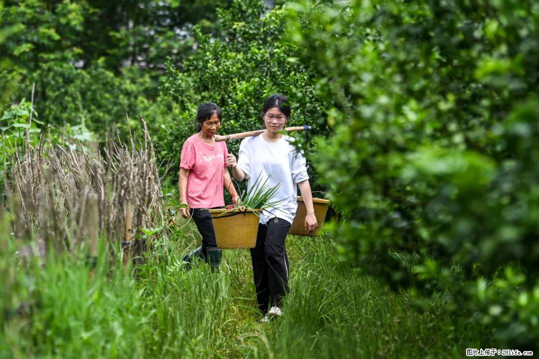 全网追的“扁担女孩”，找了一份暑假工，时薪12元 - 清远生活资讯 - 清远28生活网 qingyuan.28life.com