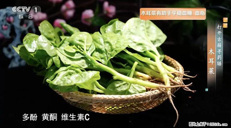 比牛奶补钙还厉害!凉血解毒、稳血糖...这菜冬天必吃,很多人却当草 - 清远生活资讯 - 清远28生活网 qingyuan.28life.com