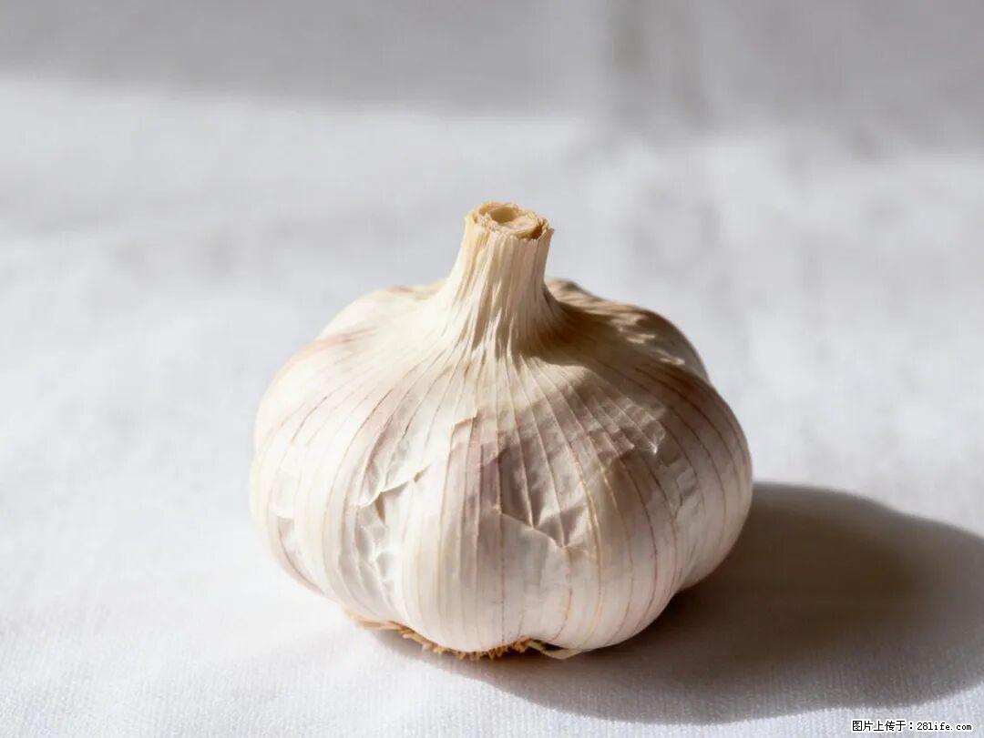关于大蒜,除了“天然抗生素”,这4个谣言更该警惕! - 清远生活资讯 - 清远28生活网 qingyuan.28life.com