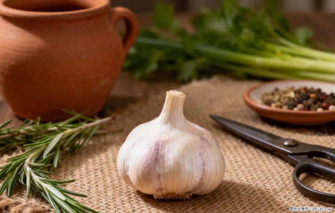 关于大蒜,除了“天然抗生素”,这4个谣言更该警惕! - 清远生活资讯 - 清远28生活网 qingyuan.28life.com