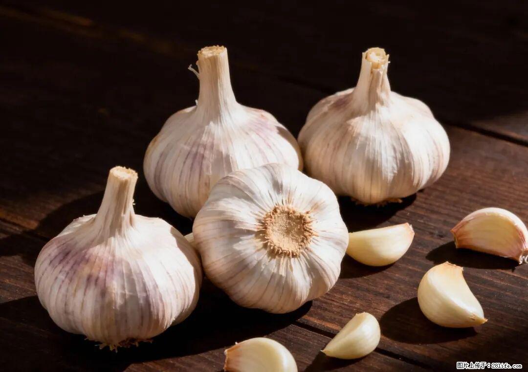 关于大蒜,除了“天然抗生素”,这4个谣言更该警惕! - 清远生活资讯 - 清远28生活网 qingyuan.28life.com