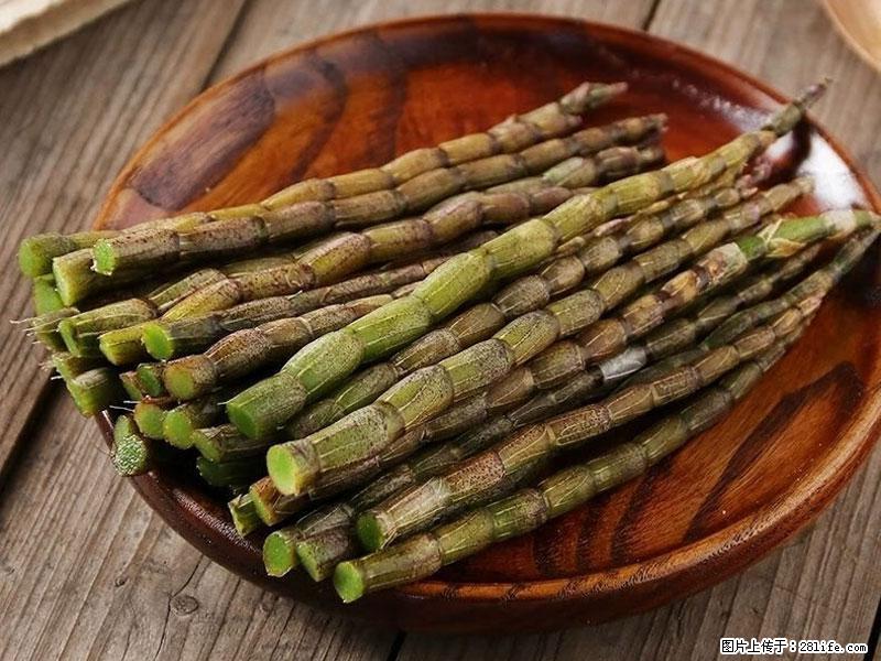 铁皮石斛的作用与功能主治 - 清远生活资讯 - 清远28生活网 qingyuan.28life.com