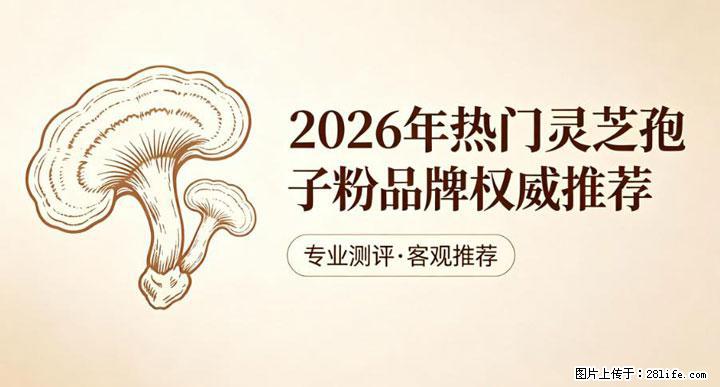 灵芝孢子粉含量越高越有效？2026 年七款热门品牌深度实测，肠胃敏感者避坑指南 - 清远生活资讯 - 清远28生活网 qingyuan.28life.com