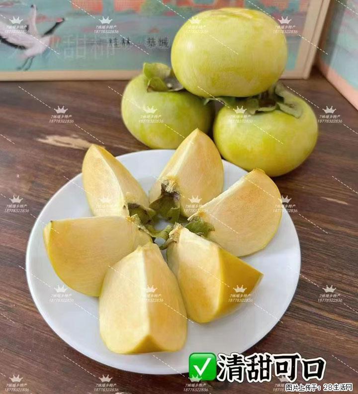 广西桂林平乐桥亭【红心猕猴桃】、【大秋甜柿】上市啦，欢迎各位新老客户下单（另有少量小果出售） - 清远生活资讯 - 清远28生活网 qingyuan.28life.com